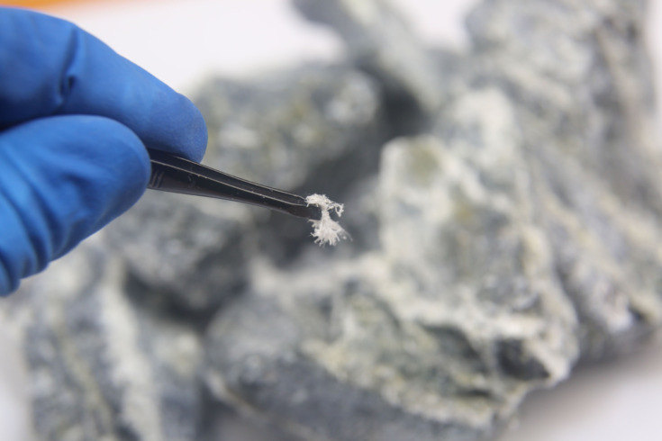 Asbestos Fibers being held in tweezers - Asbestos Removal and Everything you wanted to know about asbestos