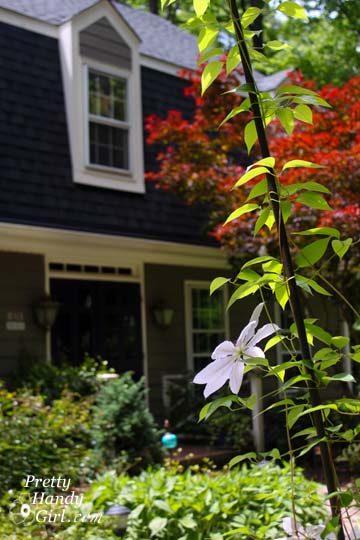 Two Ways to Install a Ceiling Hook for Plants - Pretty Handy Girl