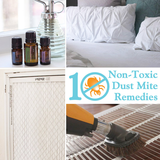 10 Non-Toxic Dust Mite Remedies for Your Home - Pretty Handy Girl