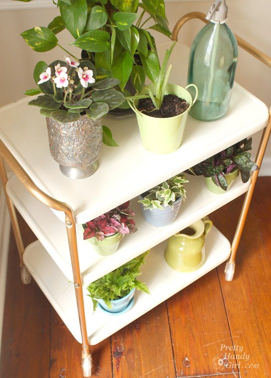 Upcycled Metal Rolling Cart Plant Stand | Pretty Handy Girl