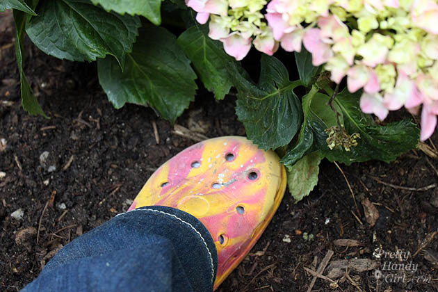 Easy Color in Your Landscaping Beds | Pretty Handy Girl
