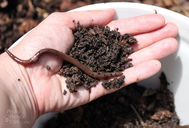 How to Compost - Secret Gardening Formula | Pretty Handy Girl