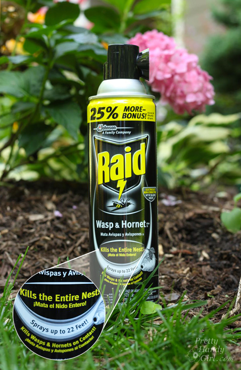RAID Wasp & Hornet Spray | Pretty Handy Girl