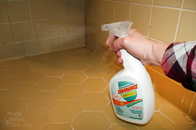 https://prettyhandygirl.com/wp-content/uploads/2015/07/spray-endurance-biobarrier.jpg