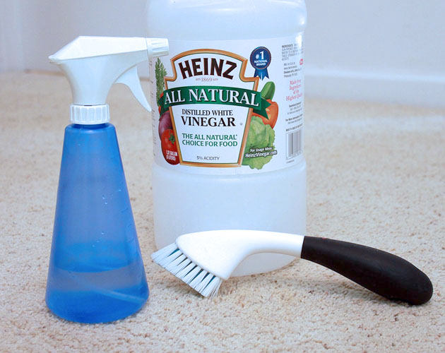 10 DIY Frugal Cleaners | Pretty Handy Girl