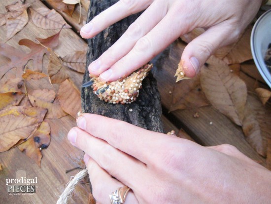 Give your feathered friends a treat from spingtime through winter. Make this easy-peasy DIY log bird feeder with one tool and a few basic materials by Prodigal Pieces for Pretty Handy Girl www.prodigalpieces.com #prodigalpieces