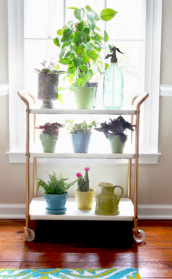 Upcycled Plant Cart