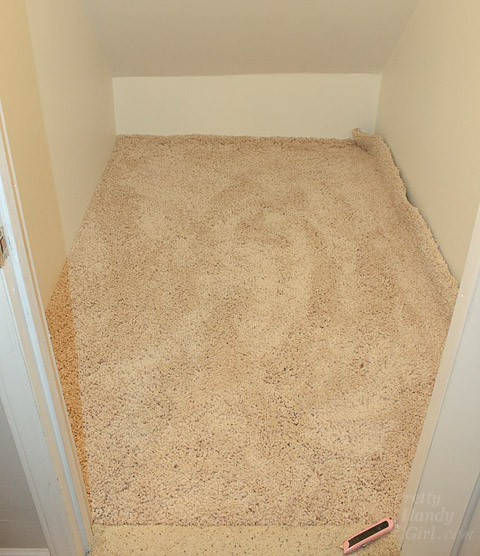 Faking Wall-to-Wall Carpet with an Area Rug | Pretty Handy Girl