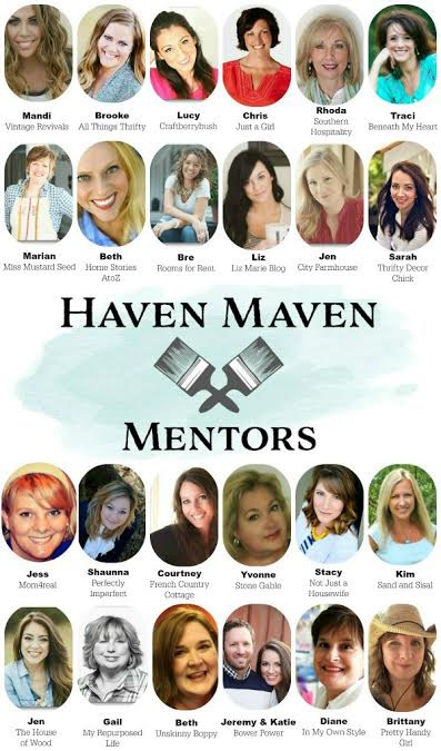 Haven Maven Mentors 2016
