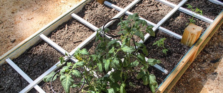 How to Build a Square Foot Gardening Grid that Won't Rot - Pretty Handy