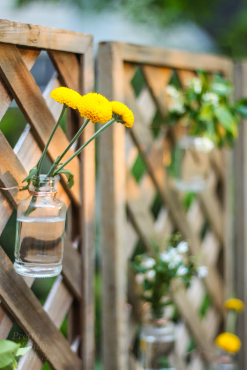 Create a Living Wall Lattice Privacy Screen | Pretty Handy Girl