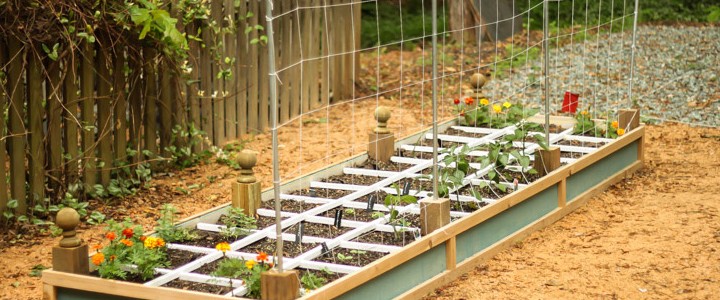 How To Build A Vegetable Trellis On A Budget - Pretty Handy Girl