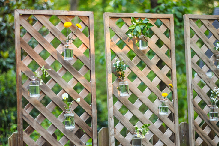 Create a Living Wall Lattice Privacy Screen