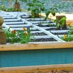 How to Build a Vegetable Trellis on a Budget | Pretty Handy Girl