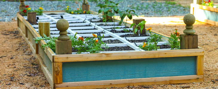 How to Build a Vegetable Trellis on a Budget | Pretty Handy Girl
