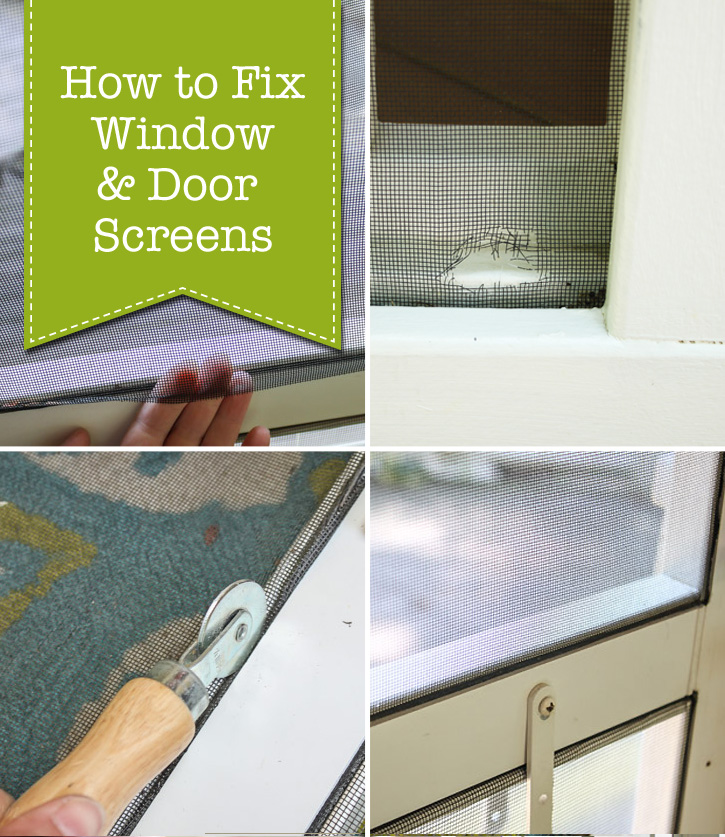 How to Fix Window & Door Screens | Pretty Handy Girl