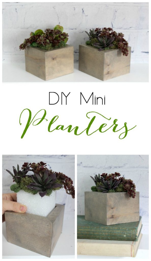 DIY Mini Planters I Pretty Handy Girl