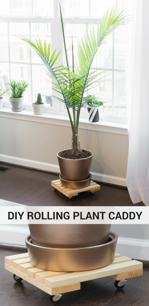 DIY Rolling Plant Caddy by Brittany Goldwyn-1