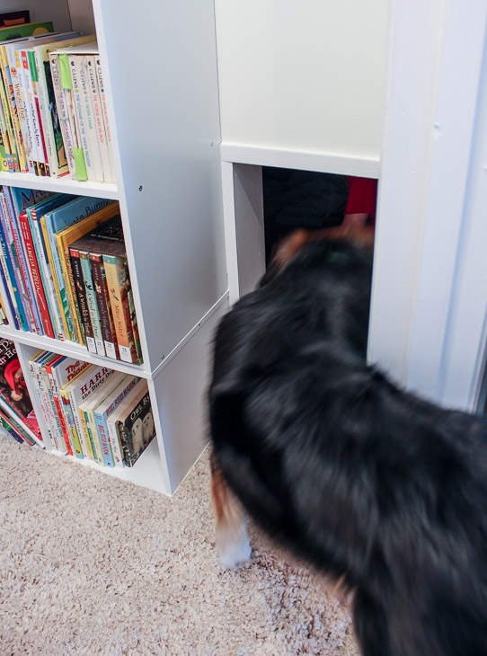 Childrens' Closet Library with Secret Pass Through | Pretty Handy Girl
