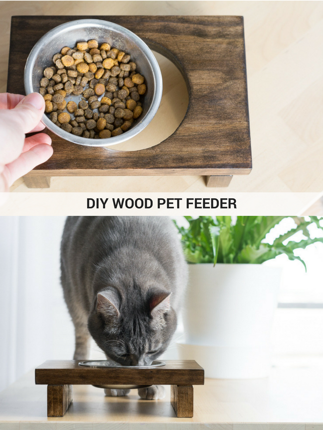 Learn how to make a wooden raised pet feeder.