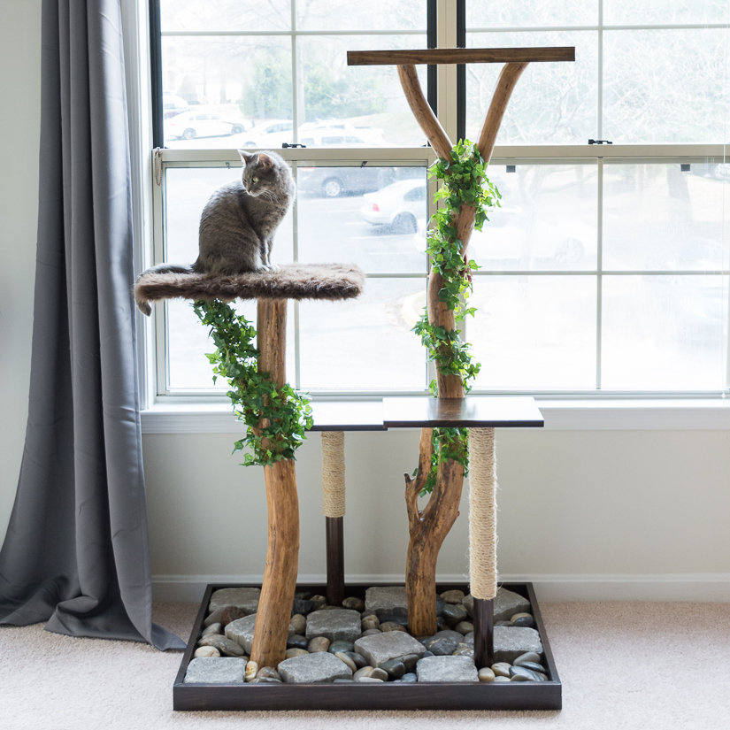 Cat Tree using real branches