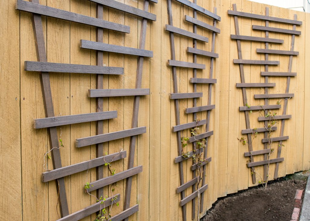There are so many ways to create your own fence trellis! You can find the plans for this one at The Handyman's Daughter.