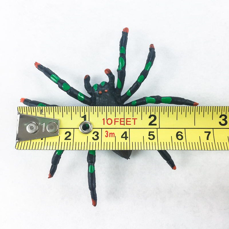 Measure your spider to determine the size of the hole in your Halloween sign.