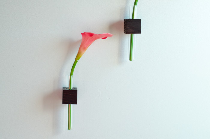 easy DIY test tube vases on the wall
