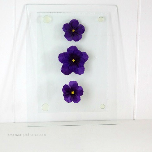 Pressed faux flowers behind glass