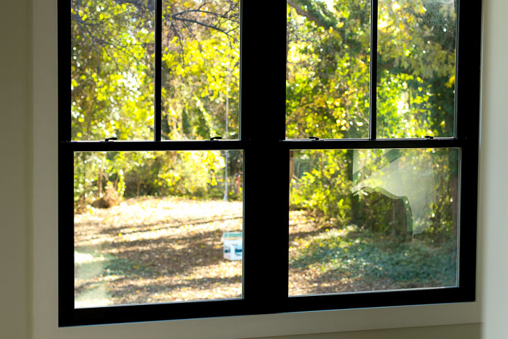 backyard view through windows