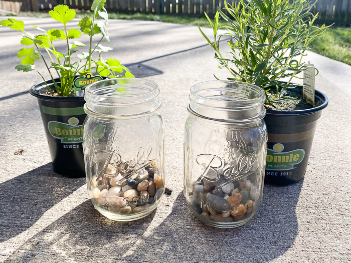 Planting herbs in Mason Jars with rocks as drainage