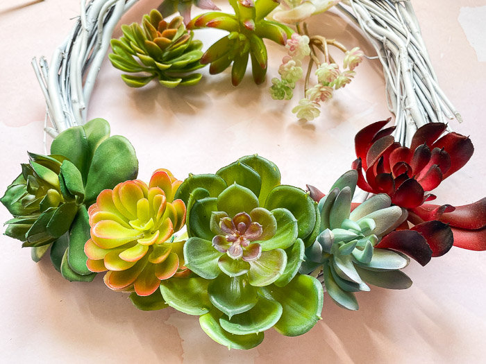 Arrange larger succulents on wreath form