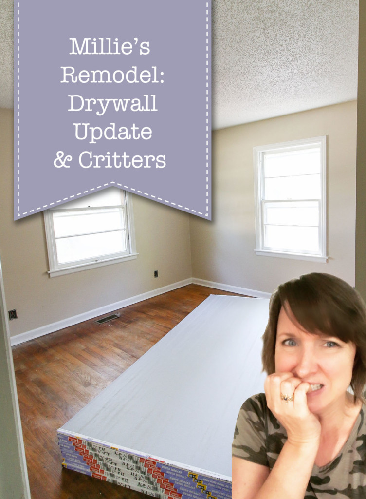 Millie's Remodel: Drywall Update and Critters