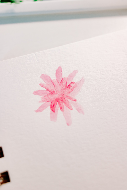 a pink flower being painted with watercolors