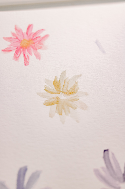 yellow and pink watercolor daisy flowers