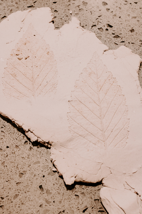 leaves imprinted in clay