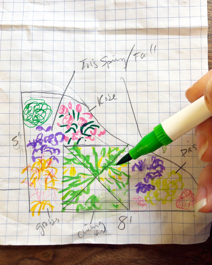 flower bed sketch on graph paper