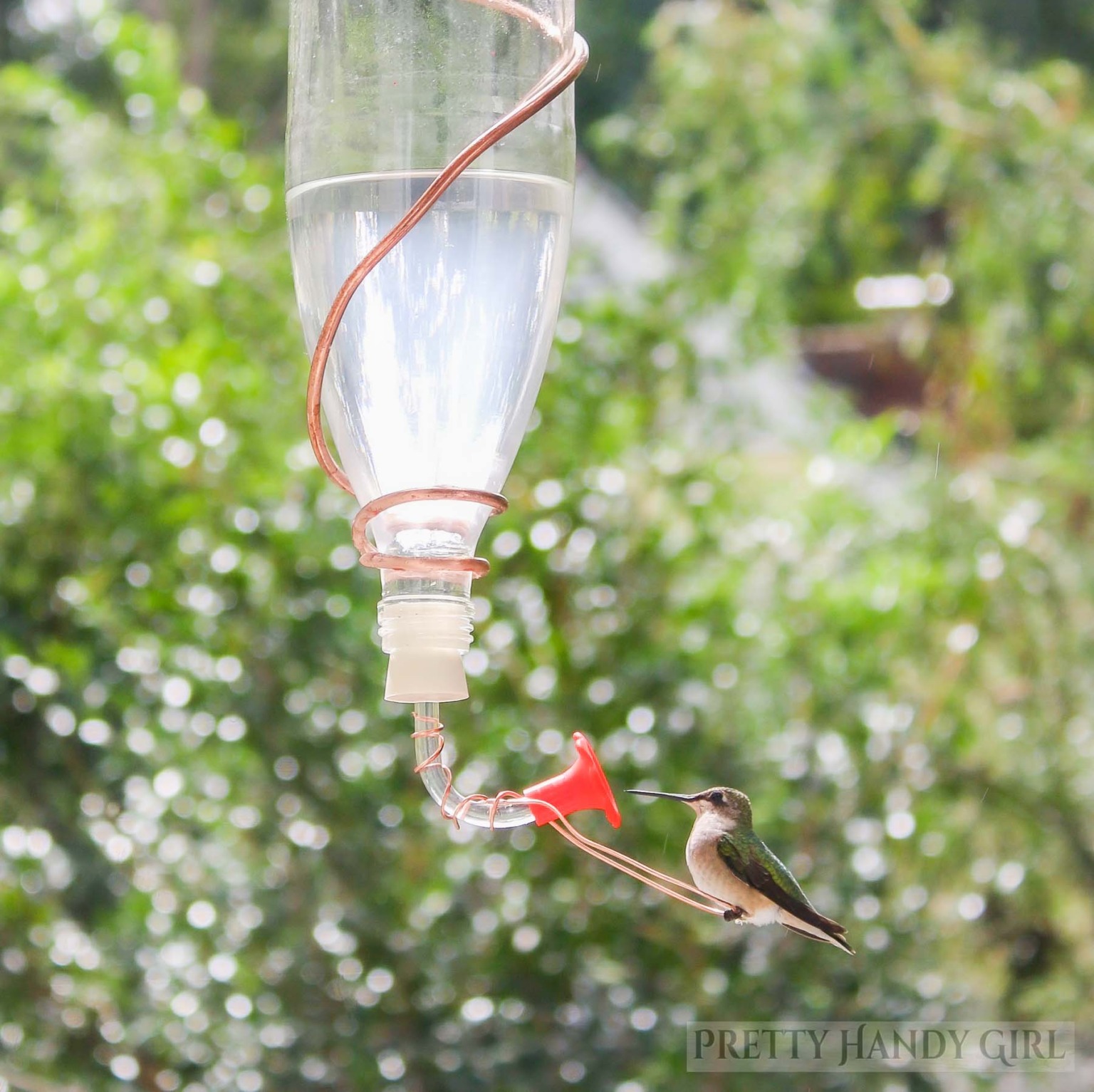 Beautiful DIY Glass Bottle Hummingbird Feeder - Pretty Handy Girl